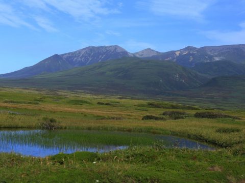 img 2250 min 0 480x360